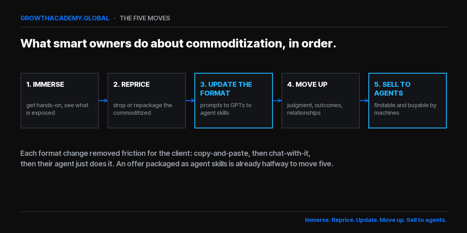 The five moves framework: immerse to see what is exposed, reprice the commoditized work, update the format of your offers from prompts to custom GPTs to agent skills, move up to judgment and relationships, and sell to agents by becoming findable and buyable by machines
